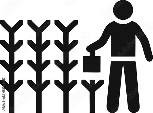 Dedicated gardener carefully watering young seedlings in a meticulously tended field