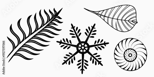 A collection of intricate and delicate leaf and snowflake illustrations Vector