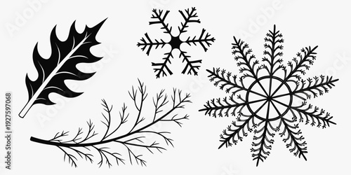 A collection of intricately designed leaves and snowflakes in black and white. Vector