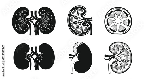 Black and white sunflower bouquet illustration, detailed floral vector design, decorative botanical arrangement, hand drawn style, elegant nature artwork isolated background