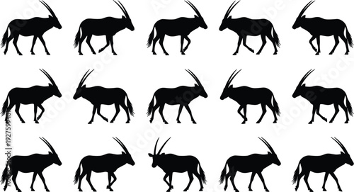 Collection of oryx antelope black silhouettes in various walking and standing poses for African wildlife nature safari and conservation concepts