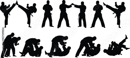 Martial arts fighter silhouettes demonstrating kicking striking grappling and ground combat techniques training sequence vector illustration isolated on white background