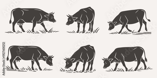 Six different types of cows grazing and standing in a field Vector