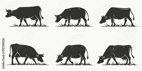 A diverse collection of various cow breeds showcasing their unique postures and characteristics Vector