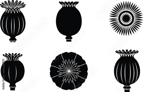 Poppy seed pod silhouette vector set, botanical capsule shapes collection, black floral elements, decorative plant icons, vintage nature design isolated background