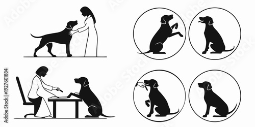 A series of illustrations depicting a dog's daily routine and activities Vector