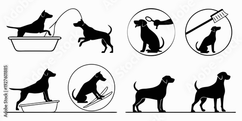 Illustrations of dogs and their prohibited actions in certain areas Vector
