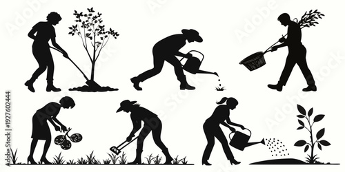 Illustration of the evolution of humans from early ancestors to modern gardeners Vector