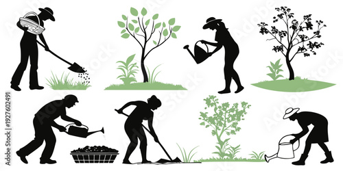A visual representation of the process of planting and growing a tree Vector