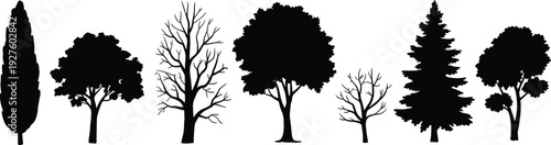 Set of seven black silhouettes of various trees including pine deciduous and bare winter trees isolated on a white background.