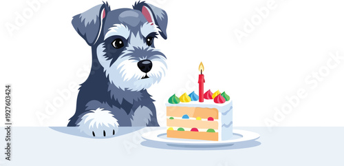 Cute Schnauzer puppy staring at birthday cake slice vector