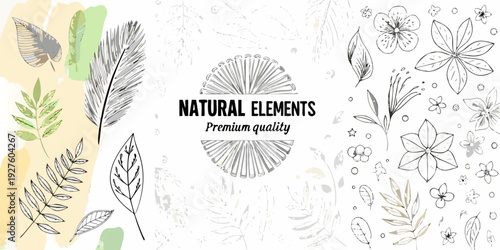 Botanical illustration with feathers leaves and floral sketches in neutral tones