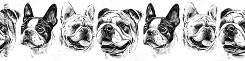 Fotografía Seamless horizontal border with hand drawn dog portraits in pencil style