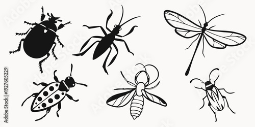A diverse collection of insects showcasing various species and their unique characteristics Vector