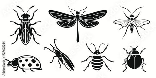 A diverse collection of insects showcasing various species and their unique characteristics Vector