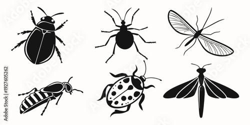A diverse collection of insects showcasing various species and their unique characteristics Vector
