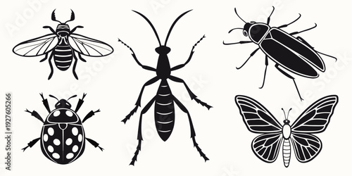 A diverse collection of insects showcasing various species and their unique characteristics Vector