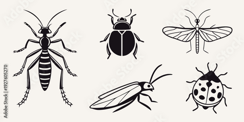 A diverse collection of insects showcasing various species and their unique characteristics. Vector