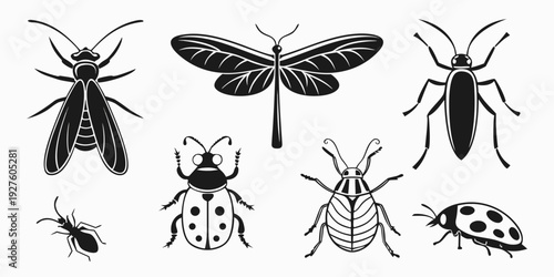 A diverse collection of insects showcasing various species and their unique characteristics. Vector