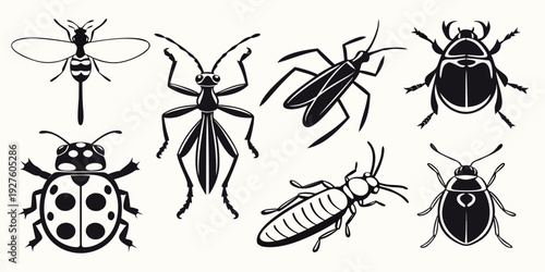 A diverse collection of insects showcasing various species and their unique characteristics. Vector