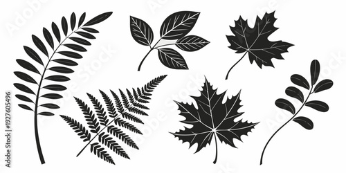 A collection of various leaf shapes and patterns in black and white. Vector