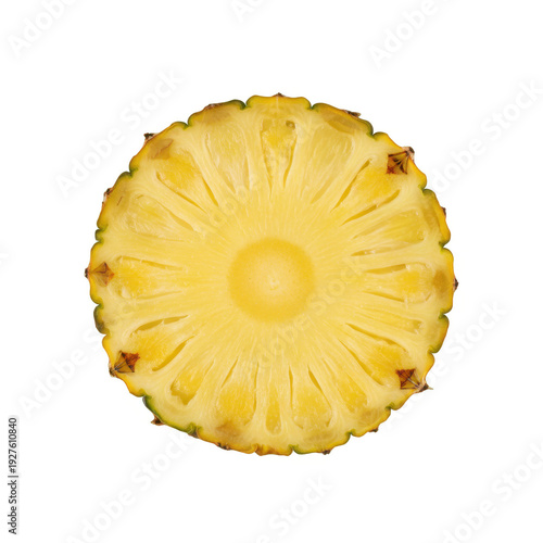 Fresh Juicy Pineapple Slice Cross Section Tropical Fruit