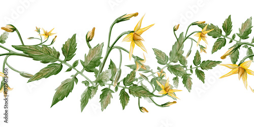 Tableau sur toile Seamless horizontal border of hand painted tomato vine with green leaves and yellow blossoms
