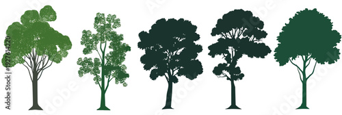 Set of six diverse tree silhouettes with varied foliage shapes and heights isolated on white background flat minimalist vector illustration