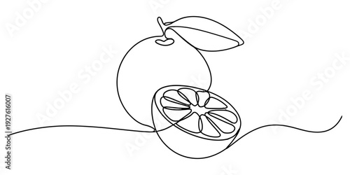 Minimalist continuous line drawing of a whole orange with a leaf and a sliced half fruit Vector, illustration