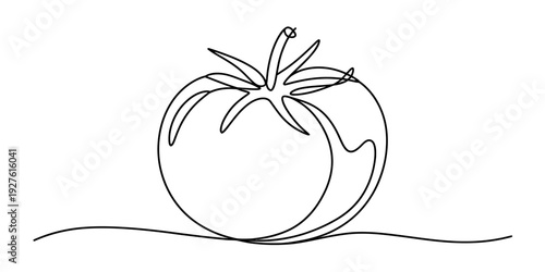 Minimalist continuous line drawing of a fresh tomato on a white background for design. Vector, illustration