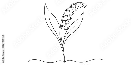 Simple black and white line drawing of a lily of the valley plant with bell flowers and leaves Vector, illustration