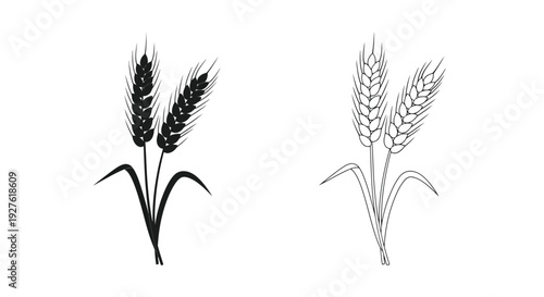 Black and white illustration of wheat stalks and grain heads