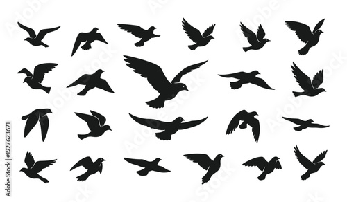 Silhouettes of birds in flight against a white background flying wings