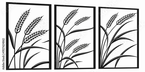 Three panels depicting the growth stages of wheat plants in a field. Vector