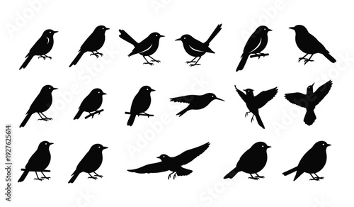 Collection of black bird silhouettes in various poses and flight positions birds flying standing