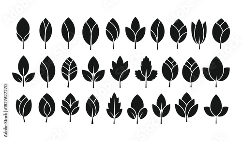 Collection of black silhouette leaves in various shapes and styles