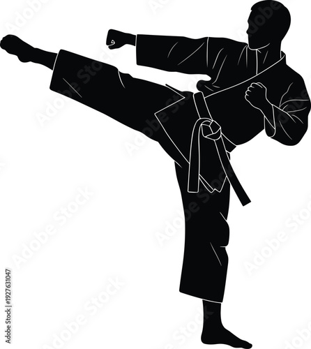 Combat sports icons, boxing gloves, punching bag, karate gi, high kick, wrestling grappling, fencing swords, fencing mask, championship belt, stopwatch, flavector