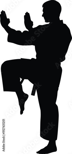 Martial arts silhouette, karate gi, black belt, high kick, defensive stance, raised arms, combat training, discipline, fitness, strength, flavector