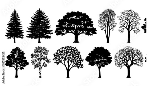 Diverse Forest Tree Silhouettes Black Nature Clipart with Realistic Seasonal Styles