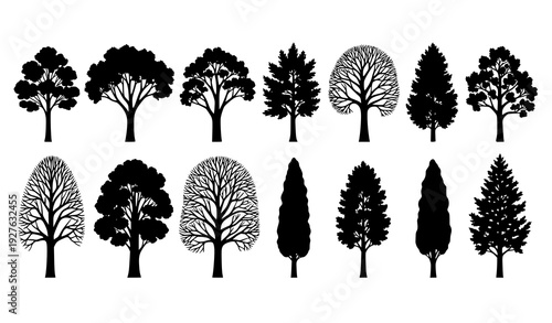 Black Tree Silhouette Collection with Seasonal Variations Spring Summer Autumn Winter Vector Set