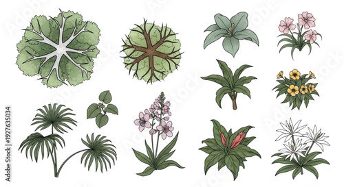 Top View Tree and Botanical Vector Set – Freehand Garden and Landscape Elements for Architecture Plans