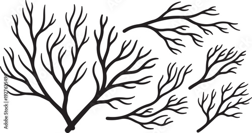 Black Branches on White Background Vector Illustration Graphic Design