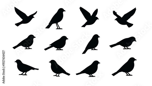 Collection of bird silhouettes in various poses and flight patterns, Vector Icon Sheet