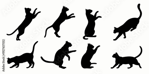 A collection of black silhouettes of cats in various dynamic poses and positions. Vector