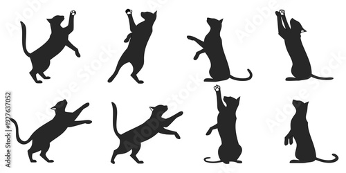A collection of eight black cat silhouettes in various playful poses Vector