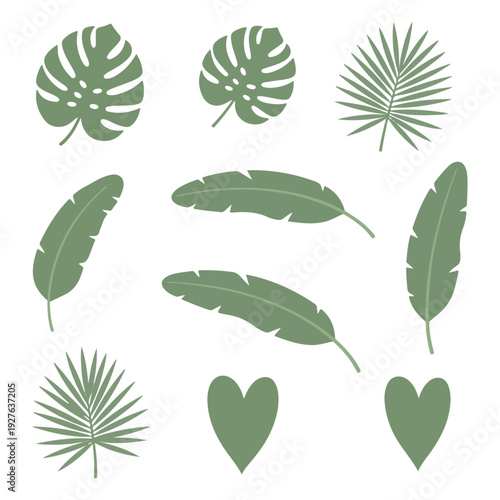 Tropical leaf collection including monstera palm and banana leaves for jungle themed projects.