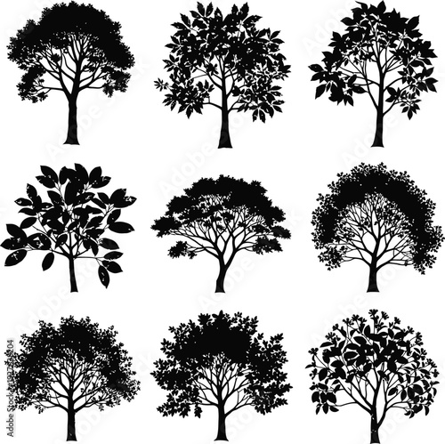 Set of Leafy Tree Silhouettes with Detailed Foliage