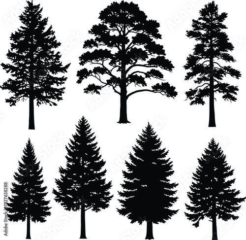 Collection of Black Evergreen Tree Silhouettes Isolated on White