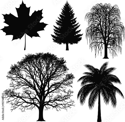 Assorted Tree and Leaf Silhouettes for Seasonal Design