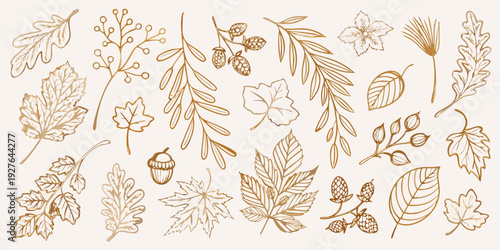 Vintage botanical illustration featuring various autumnal leaves and natural elements